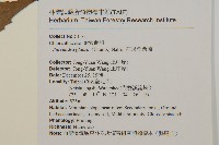 草珊瑚、紅果金粟蘭藏品圖，第2張