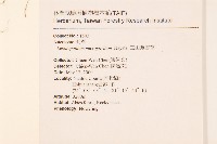 玉山薄雪草藏品圖，第2張