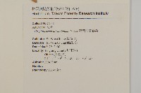 臺灣假黃鵪菜藏品圖，第2張