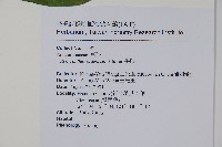 牛膝藏品圖，第2張