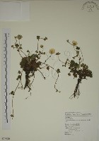 登錄號:S076620藏品圖，第1張
