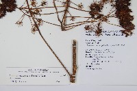 登錄號:S076654藏品圖，第2張