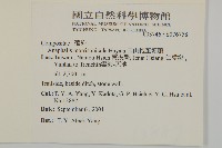 玉山抱莖籟簫藏品圖，第2張