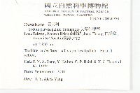 尖萼佛甲草藏品圖，第5張