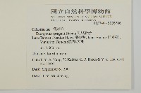 刺果衛矛藏品圖，第2張