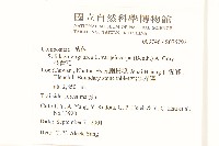 一枝黃花藏品圖，第2張