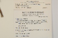 黃氏衛矛藏品圖，第5張