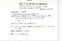 臺灣山芥菜藏品圖，第2張