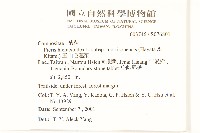 玉山毛蓮菜藏品圖，第2張