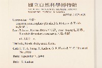 戟葉橐吾藏品圖，第2張