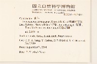 臺灣劉寄奴藏品圖，第2張