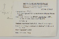 玉山卷耳藏品圖，第2張