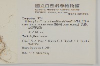 小白花鬼針藏品圖，第2張