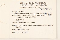 山苦藚、假福王草藏品圖，第2張