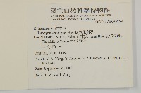 刺果衛矛藏品圖，第2張