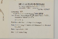 玉山抱莖籟簫藏品圖，第2張