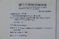 高山莢迷藏品圖，第2張