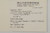 厚葉衛矛, 源一木藏品圖，第2張