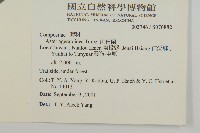 山白蘭藏品圖，第2張