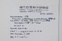 穗花蛇菰藏品圖，第2張