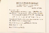 山苦藚、假福王草藏品圖，第2張