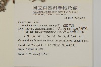 玉山抱莖籟簫藏品圖，第5張