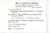 玉山筷子芥藏品圖，第2張