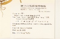 玉山飛蓬藏品圖，第2張