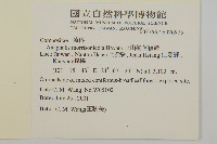 玉山抱莖籟簫藏品圖，第2張