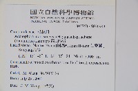 高山沙參藏品圖，第2張