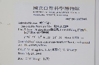 蜂窩馬兜鈴藏品圖，第2張