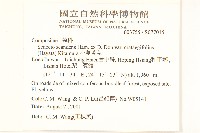 小蔓黃菀藏品圖，第2張