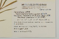 玉山石竹藏品圖，第5張