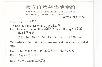 薺藏品圖，第2張