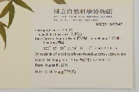 狗筋蔓藏品圖，第2張