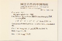 矮菊藏品圖，第2張