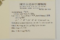 疏花繁縷藏品圖，第2張