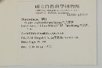 馬氏濱藜藏品圖，第2張