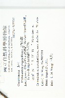 槭葉括摟藏品圖，第2張