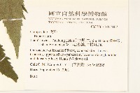 登錄號:S077102藏品圖，第2張