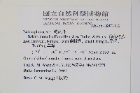 穗花蛇菰藏品圖，第2張