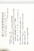 芋葉括樓藏品圖，第2張