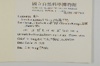 珍珠蒿、奇蒿藏品圖，第2張