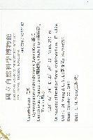 瓣瓜藏品圖，第2張