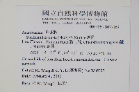 臺灣馬藍藏品圖，第2張