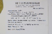 華他卡藤藏品圖，第2張