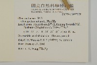 藜、灰藜藏品圖，第2張