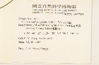 蔓澤蘭藏品圖，第2張