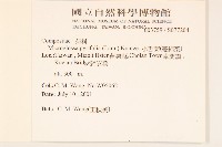 小舌菊、蔓綿菜藏品圖，第2張