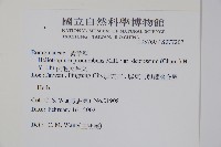 伏毛天芹菜藏品圖，第2張